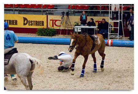 horse