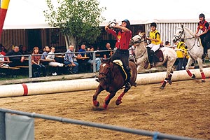 horse