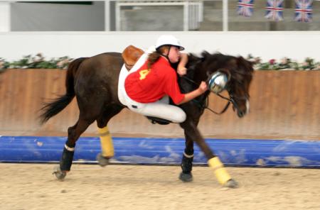 horse