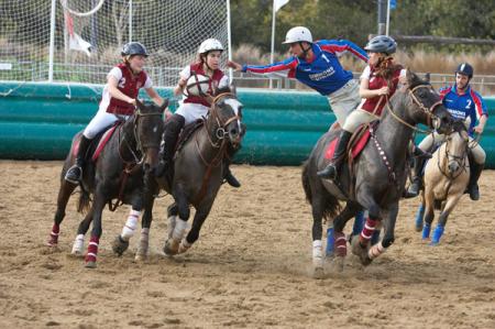 horse